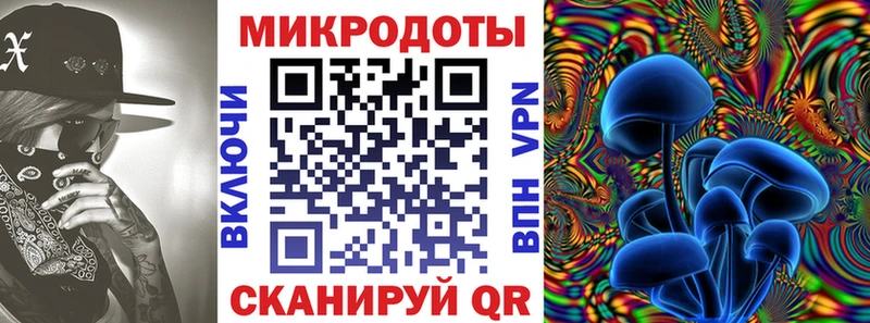 Псилоцибиновые грибы Cubensis  Бабаево 